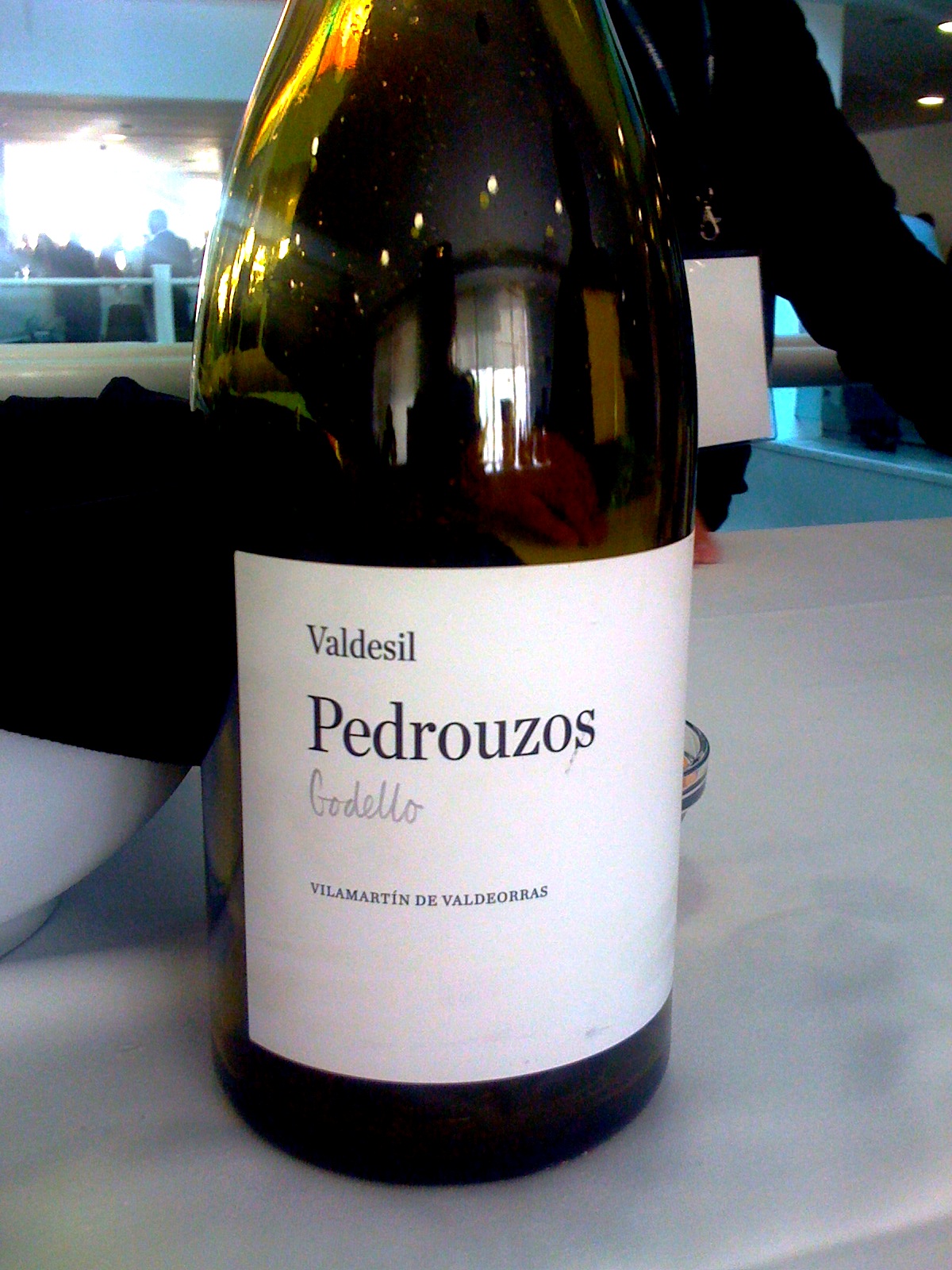 salon_peñin_mejores_vinos_valdesil_pedrouzos